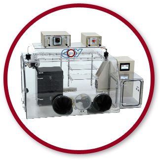 Hypoxic chamber for tissue culture by Coy Laboratory Products