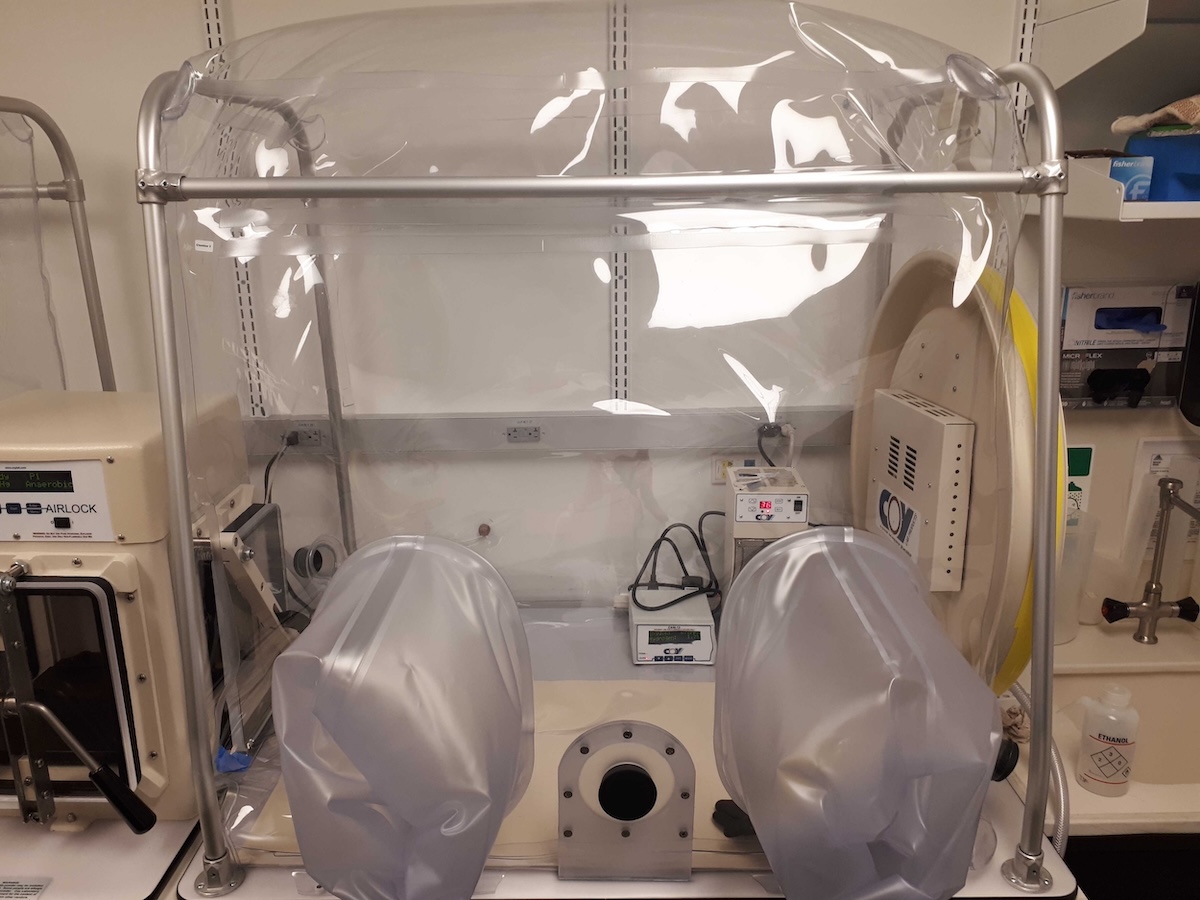 GMP Fecal Studies with Custom Chamber and Sterilization Port | Coy ...